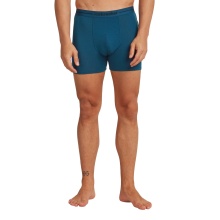 Icebreaker Anatomica Boxershorts (Merino Wool) Underwear atlantis blue Men's